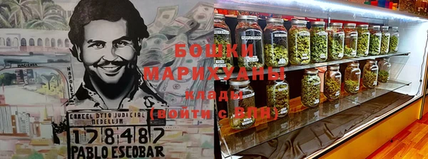 ешки Алексин