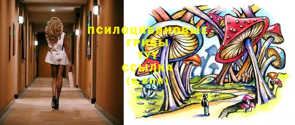 дмт Карпинск